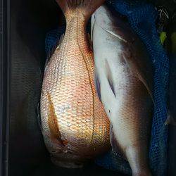 ぼくの夏休みパート2