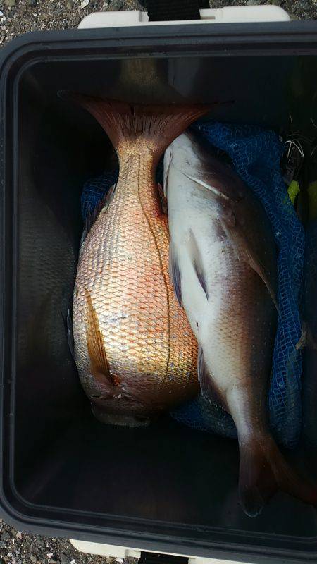 ぼくの夏休みパート2