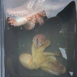 ぼくの夏休みパート3