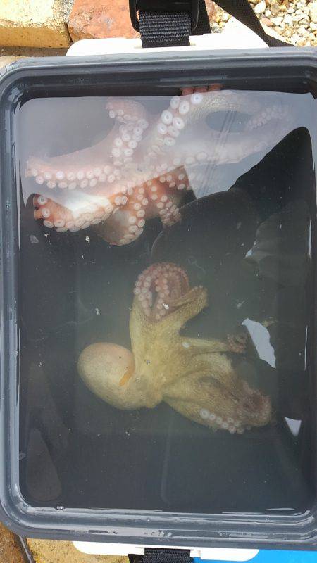 ぼくの夏休みパート3