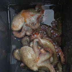 ぼくの夏休みパート5