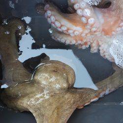 ぼくの夏休みパート6