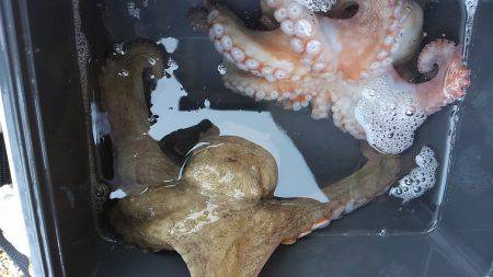 ぼくの夏休みパート6