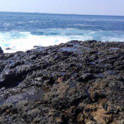 二週連続ホゲホゲ