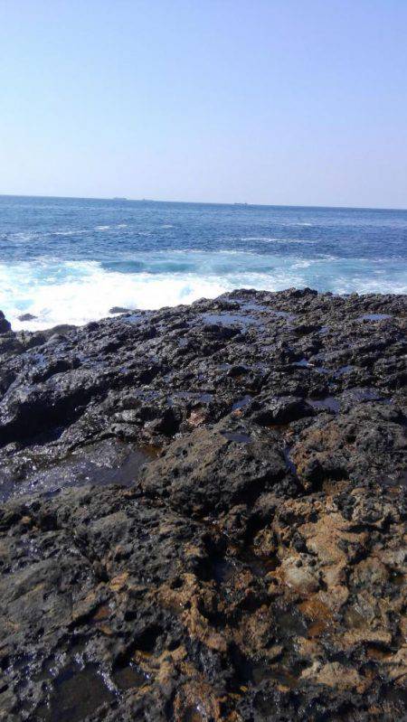 二週連続ホゲホゲ