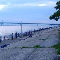 ツバス狙いだったのですが人が多くてダメでした