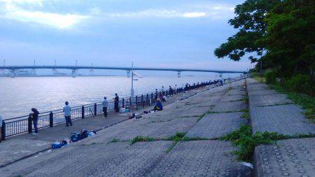 ツバス狙いだったのですが人が多くてダメでした