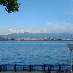 今回もハマチツバス狙いで神戸まで