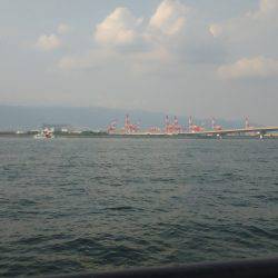 ダイソータックル今日の獲物は？