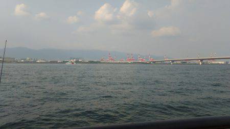 ダイソータックル今日の獲物は？