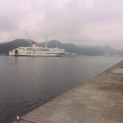 梅雨の合間の波止タコ