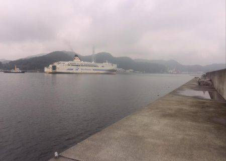 梅雨の合間の波止タコ