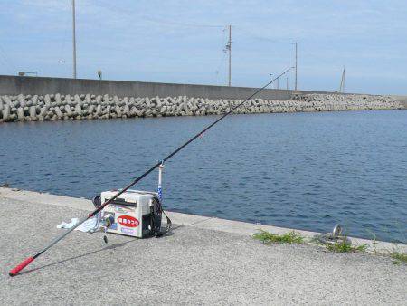 鳥飼新港のキス