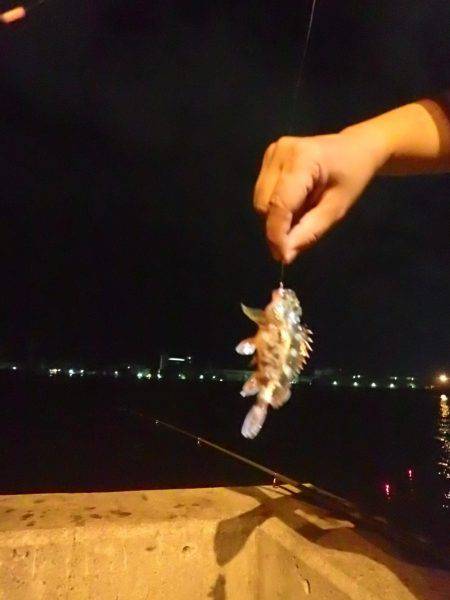 タチウオ釣りに。