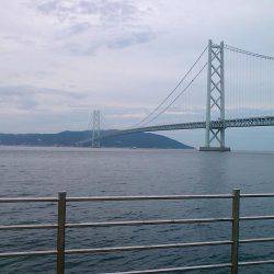 サビキと大サバ＆のませ釣査