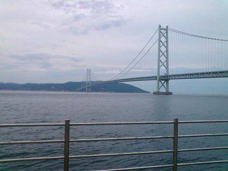 サビキと大サバ＆のませ釣査