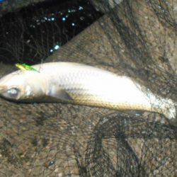 翌日は不調…。