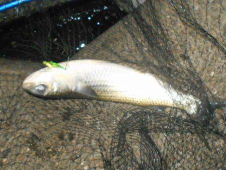 翌日は不調…。