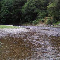上桂川花背地区