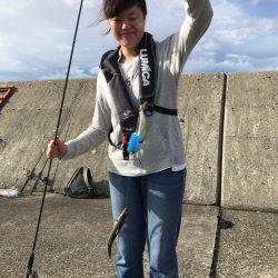 サバ祭り時々タコ