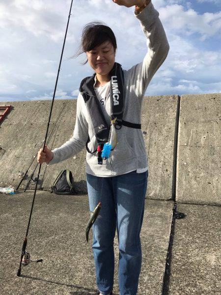 サバ祭り時々タコ