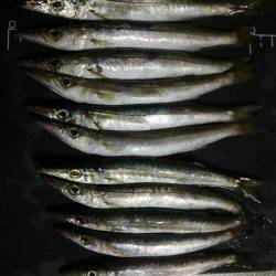 暑い１日だった