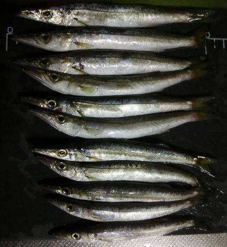 暑い１日だった