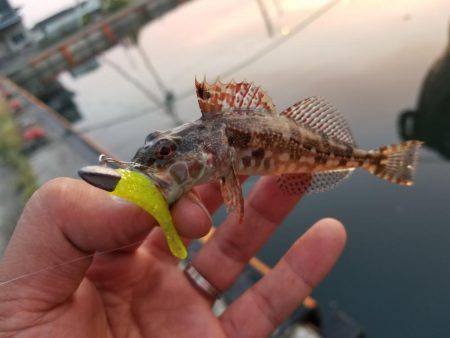 仕事終わりにライトワインド