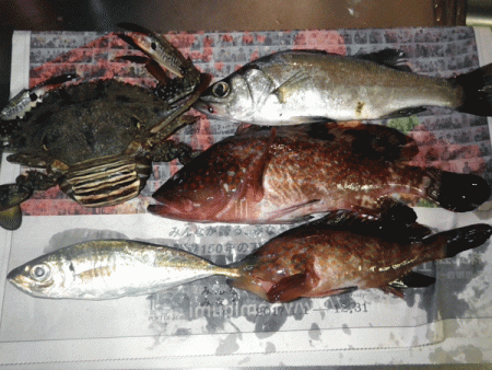 日本海アジング(2017-9)