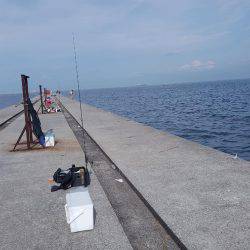 神戸沖堤タチウオワイド‼