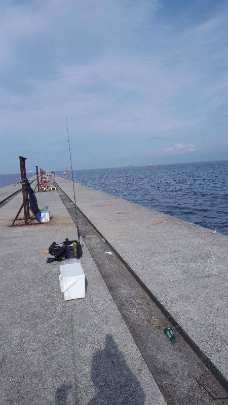 神戸沖堤タチウオワイド‼