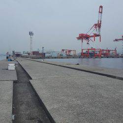 ポーアイ沖堤防に行ってきました‼