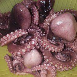 やっぱりMNGは最強ですわ!