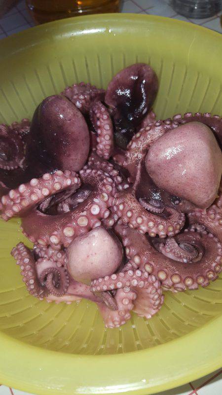 やっぱりMNGは最強ですわ!