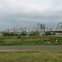 夕涼みハゼククランキング