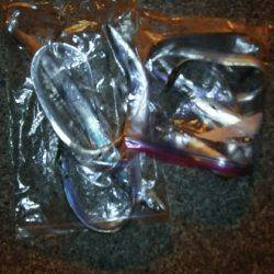 夏タチウオ調査