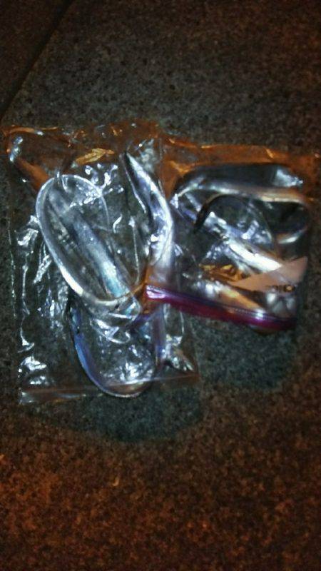 夏タチウオ調査