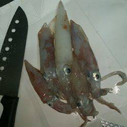 神明夏の風物詩開幕ですよ~♪