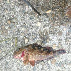 チビッ子ばかり。