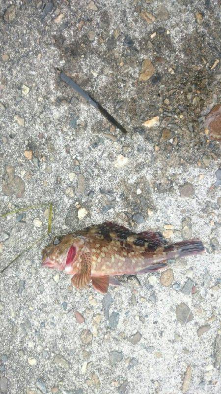 チビッ子ばかり。