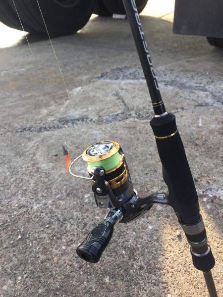 奥湾には回遊なし