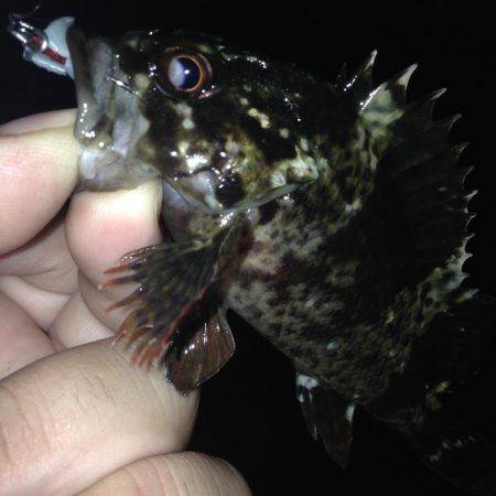 久しぶりに朝まで行って来ました！！