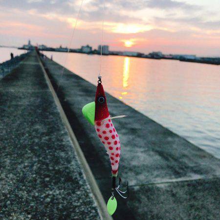 タコ全く反応なし…