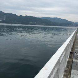 ファミリーフィッシング