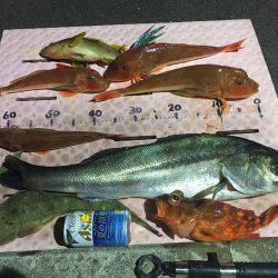 マイボートでタイラバ、ジギング