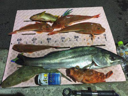 マイボートでタイラバ、ジギング