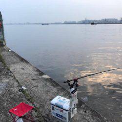 朝ハネ 好釣‼︎