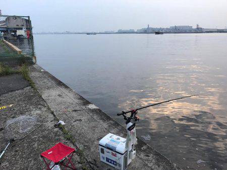 朝ハネ 好釣‼︎