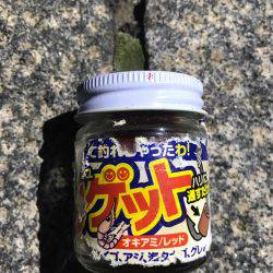 サビキにしたのに！