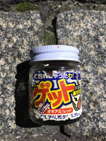 サビキにしたのに！